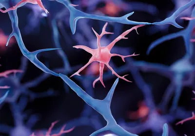 Microglia and glial cells